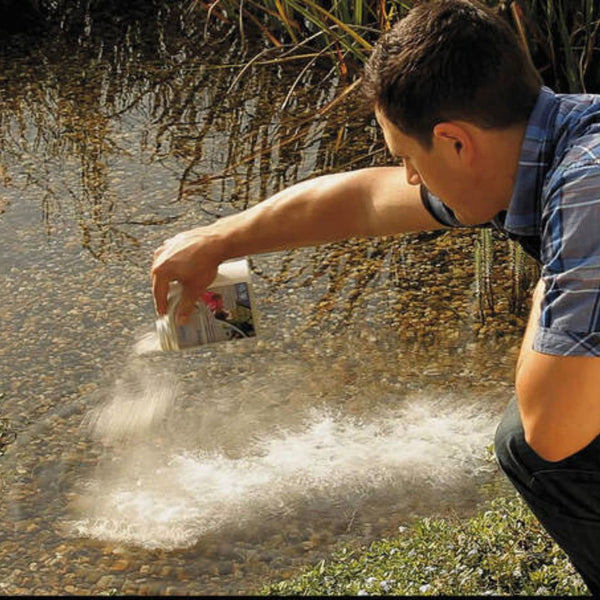 From Green to Clean Algaecide Products to Keep Your Pond Fish Happy a