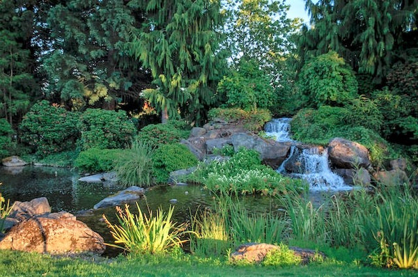 natural ponds and waterfalls