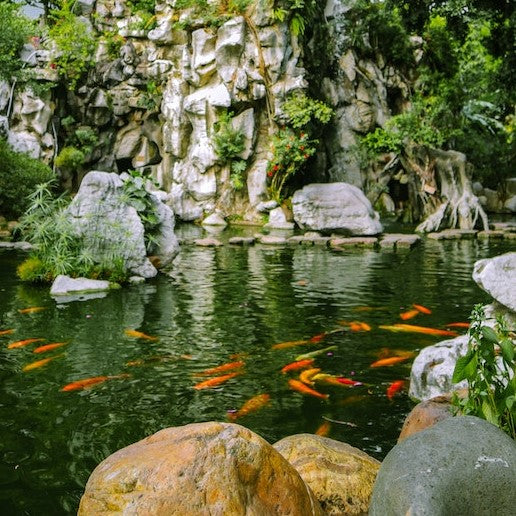 fish pond accessories australia Mood Lab Fairy Garden - Miniature & Fairy Figurine Kit - 2 pcs Set of Garden Koi Pond Suppliers in Australia