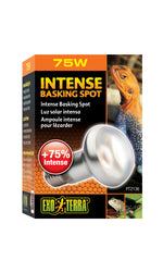 RP33 BASKING SPOT LAMP 75 WATT