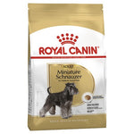 MINIATURE SCHNAUZER 3KG