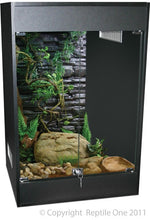 SABURRA BLACK 669