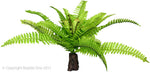 PLANT REPTILE REALISTIC FERN ON ROCK BASE (L)