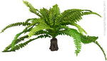 Repti One Plant Reptile Realistic Fern On Rock Base (Xl)