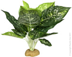 PLANT REPTILE EVERGREEN WITH ROCK BASE (L)