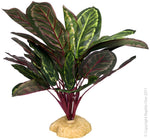 PLANT REPTILE BROADLEAF GREEN/PURPLE RED WITH ROCK