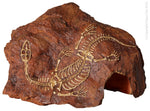 Aqua One Ornament Fossil Plesiosaur Rock 26.5x14.8x17.8Cm