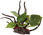 ORNAMENT DRIFTWOOD W/ANUBIAS SMALL 29.8X20X24.2CM