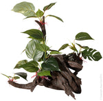 ORNAMENT DRIFTWOOD W/ANUBIS LARGE 53X39.8X38CM