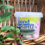 Pond Plantz Time Release Fertilizer