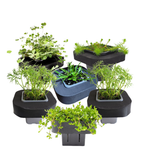 Native Pond Plant Starter Pack 2 includes 7cm Floating Rings
