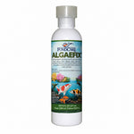 API Pond Algaefix 237ml