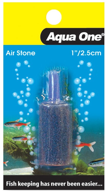 Airstone filter best sale