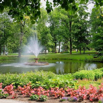 The Ultimate Pond Pump Buying Guide Finding the Best Fit for Your Water Garden