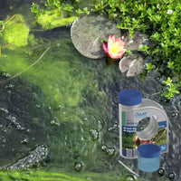 Top Algae Control Products for Australian Ponds