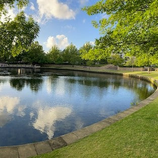 The Importance of Changing Water in Your Pond: How Often Should You Do It?