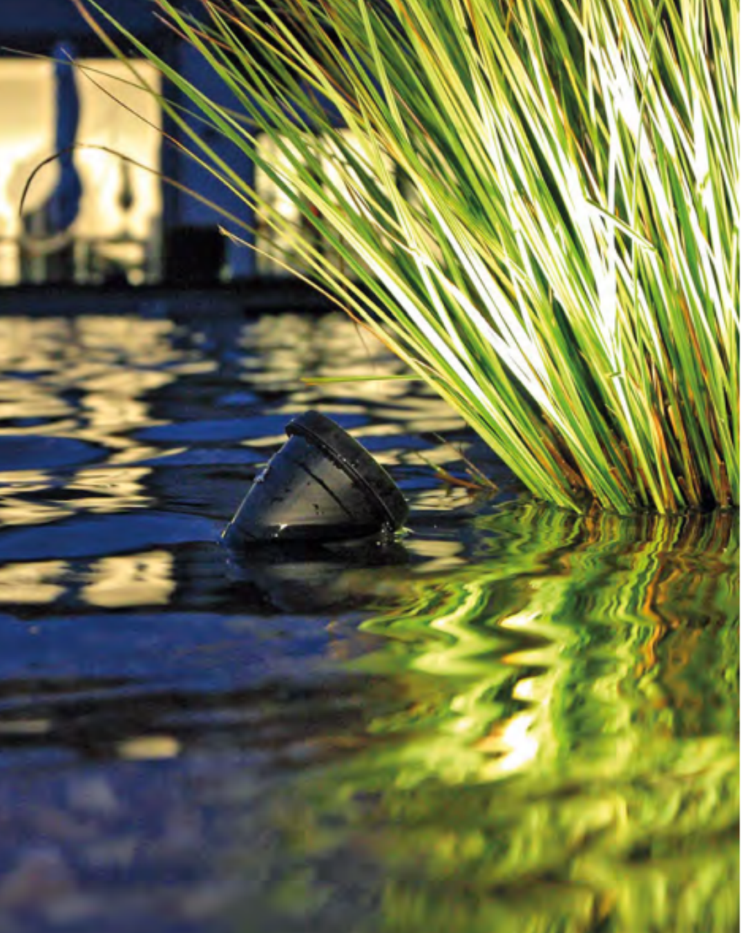 Pond Lighting Guide: How to Light Your Pond and Water Garden at Night