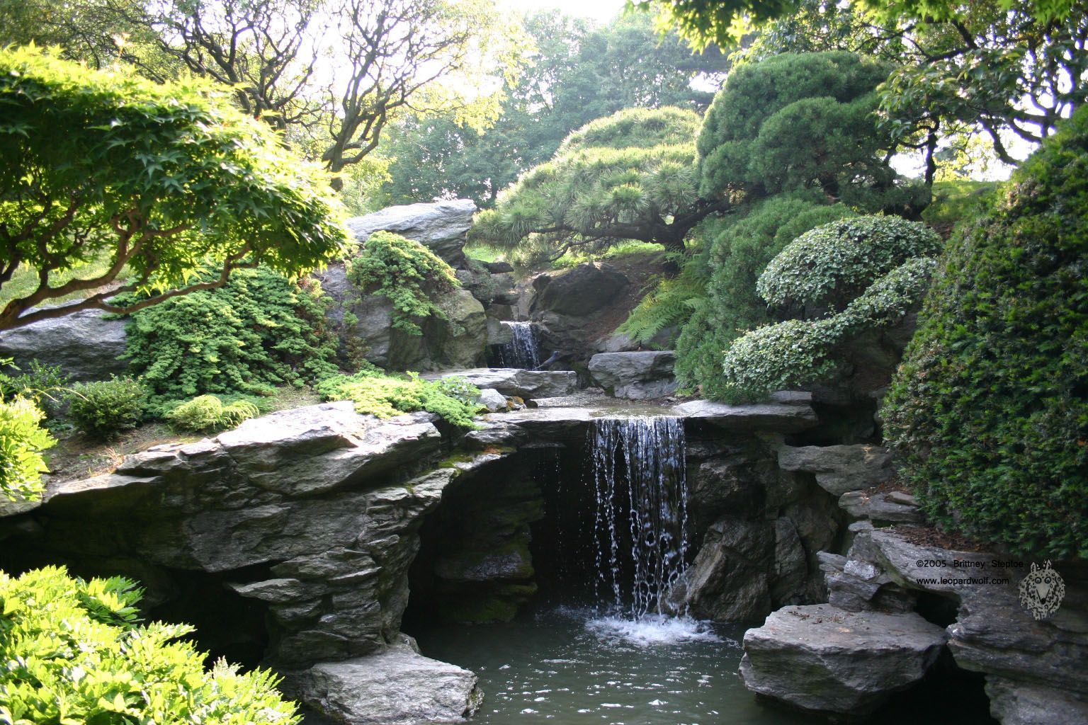 Maintaining a healthy pond the natural way