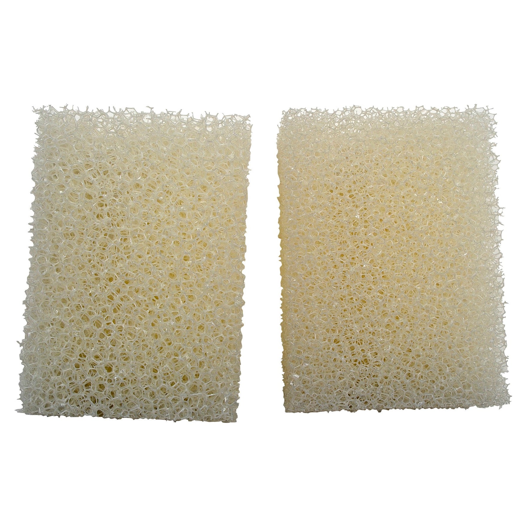 Laguna PowerJet 500/800 Strainer Foam (2)