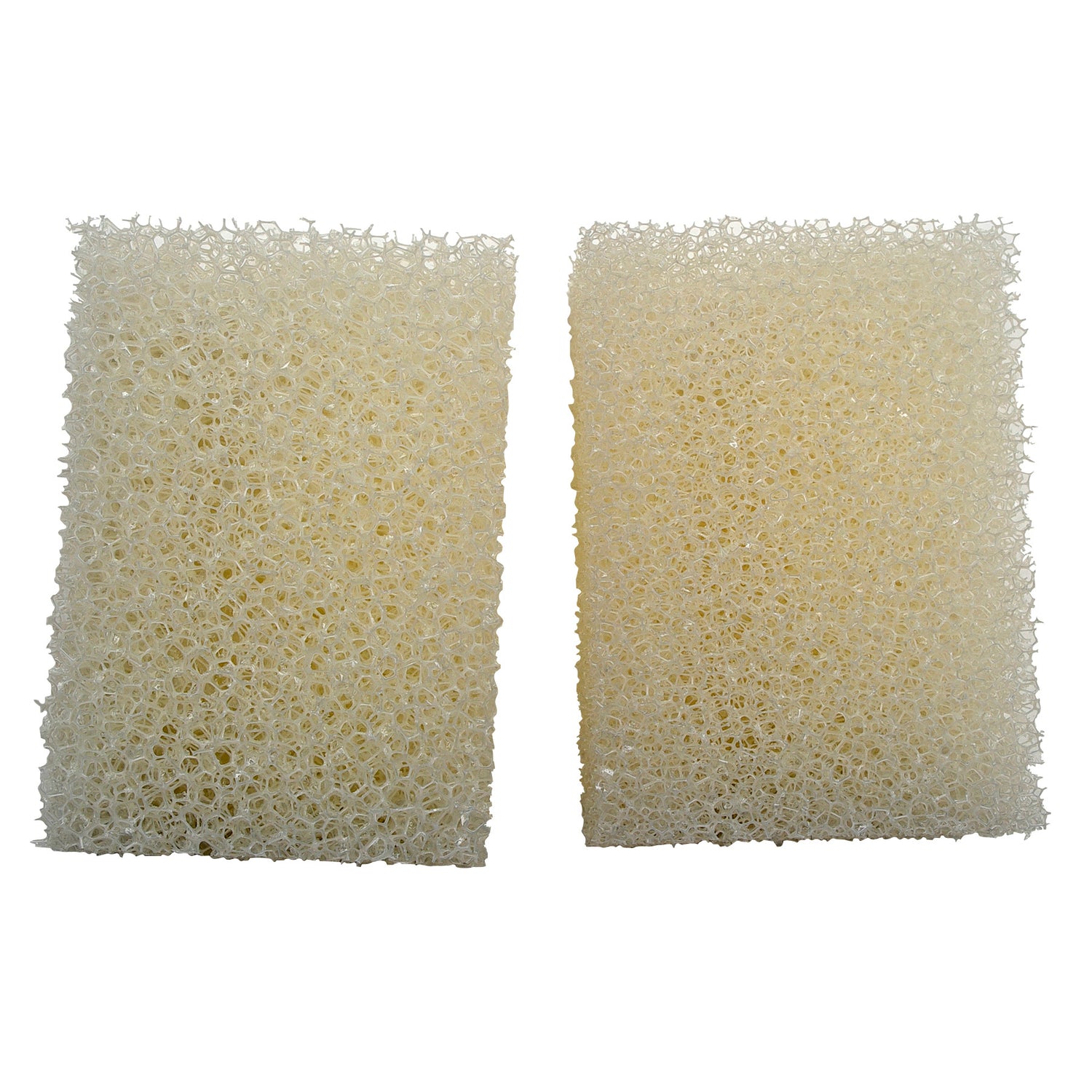Laguna PowerJet 500/800 Strainer Foam (2)