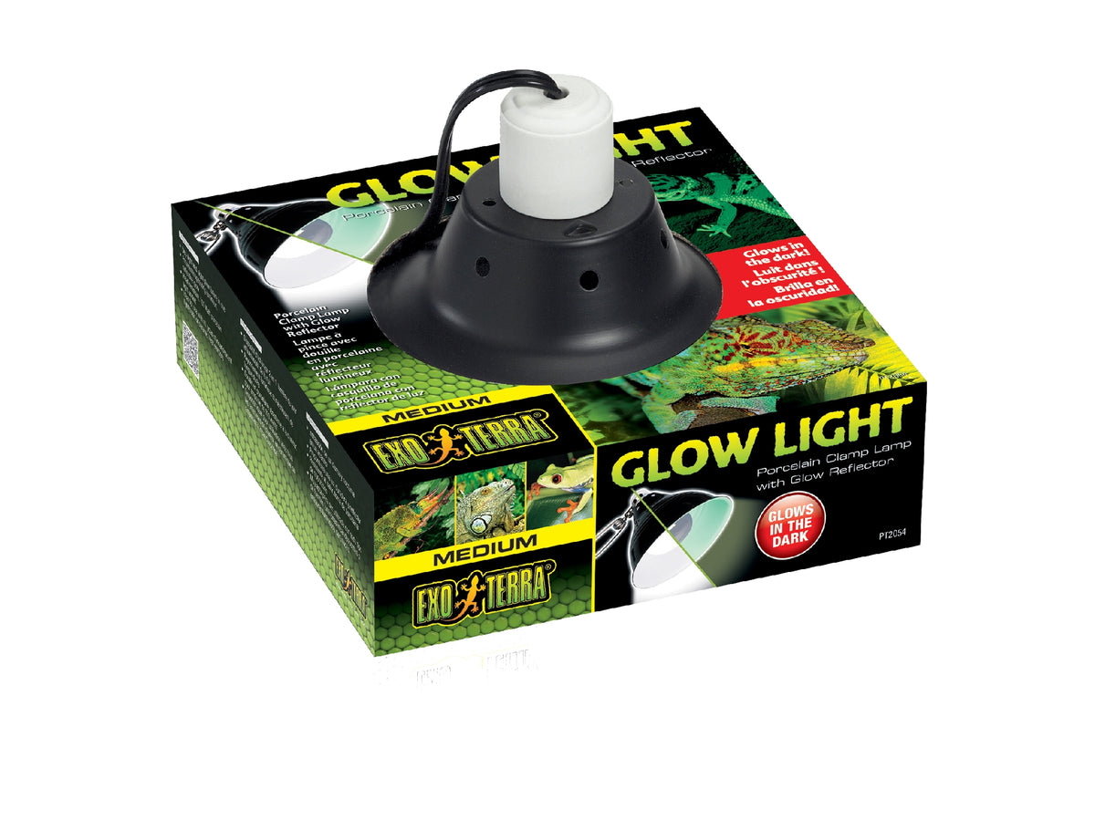 RP07 AFTERGLO LAMP HOLDER MED