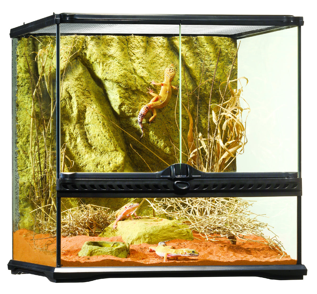 Exo Terra All Glass Small Wide Terrarium - 45 x 45 x 45cm