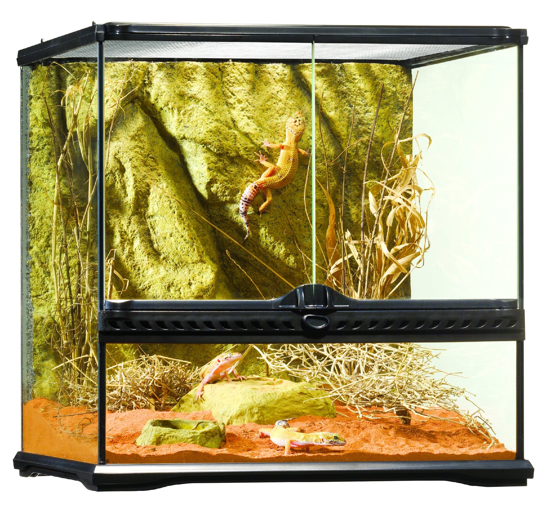 Exo Terra All Glass Small Wide Terrarium - 45 x 45 x 45cm