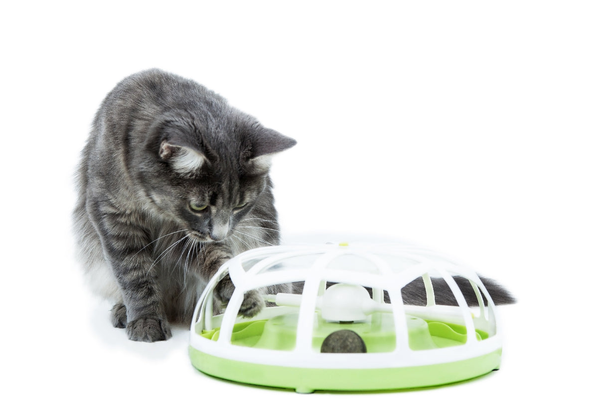 Catit senses Roundabout Spinner