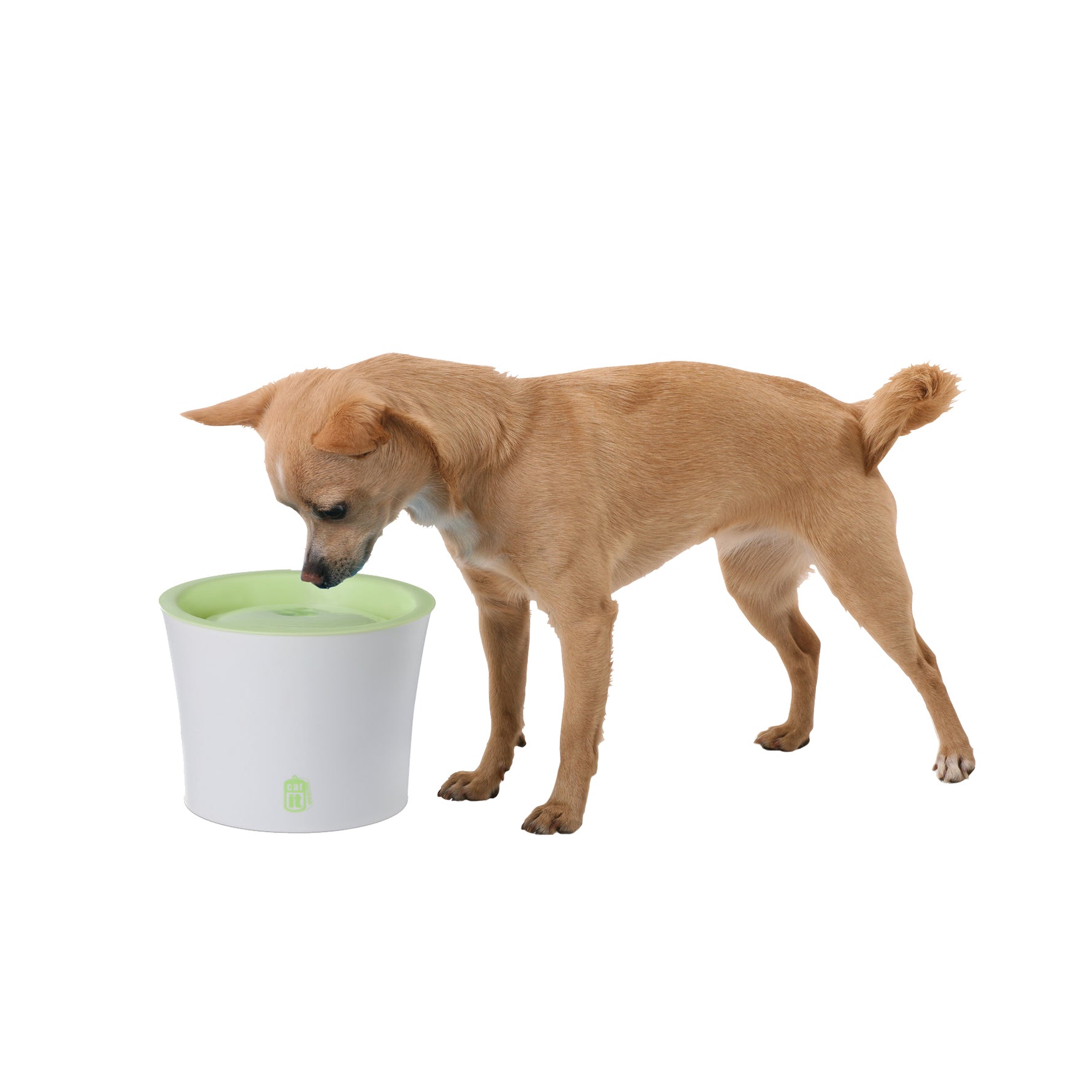 Catit Fresh & Clear Drinking Fountain