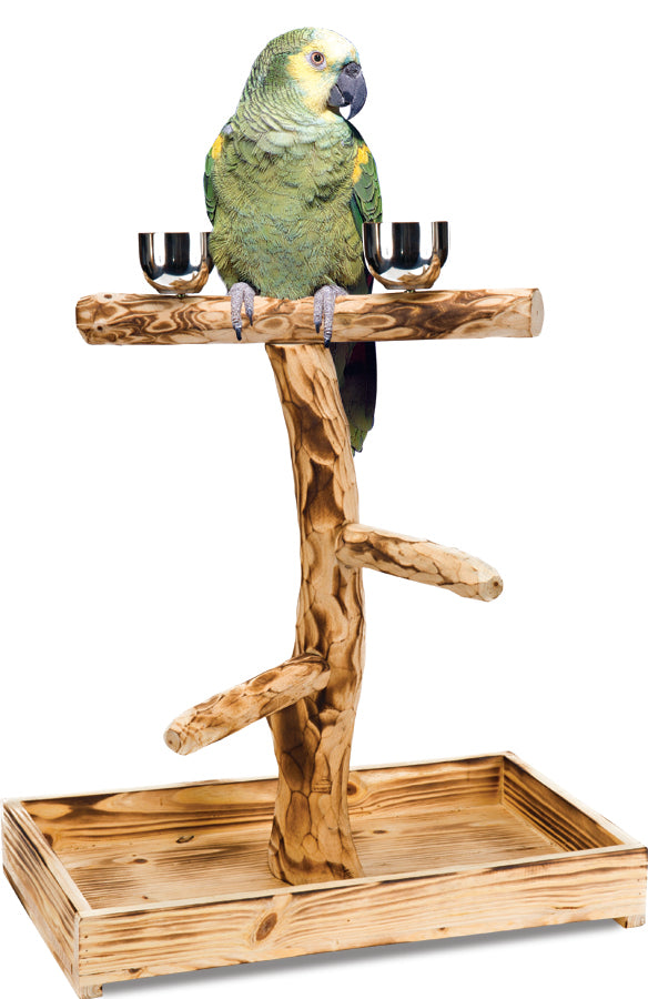 PENN PLAX NATURAL PERCH TREE - LARGE BIRDS