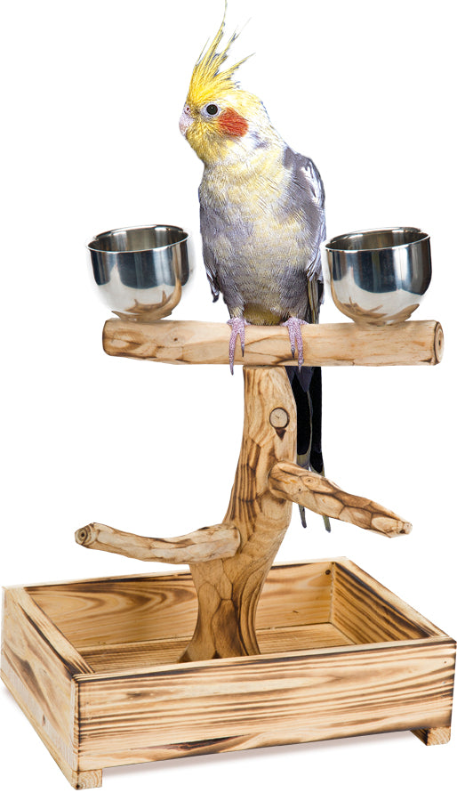 PENN PLAX NATURAL PERCH TREE - SMALL BIRDS
