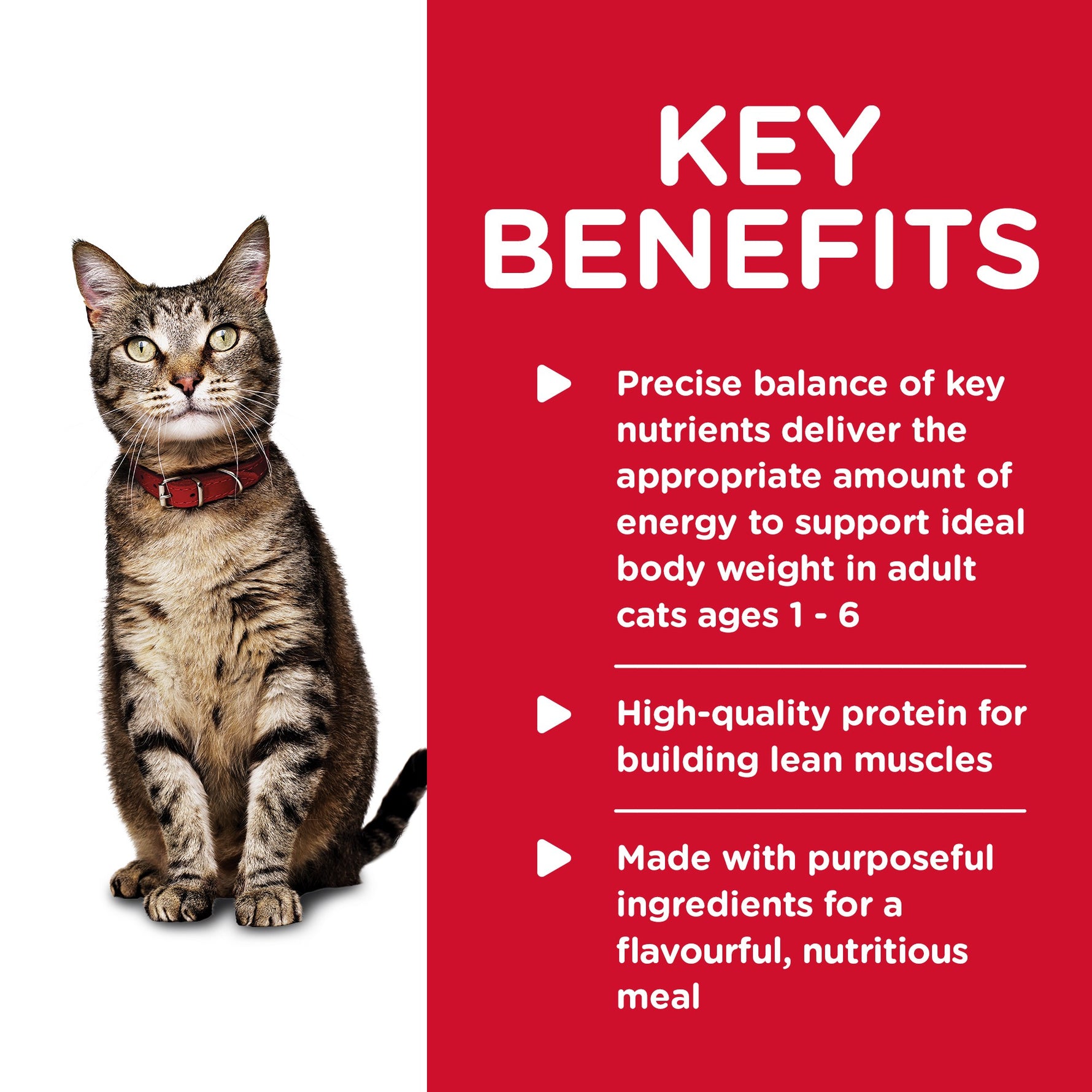 Pack of 24 Science Diet Cat Adult Healthy Cuisine Tuna 79g