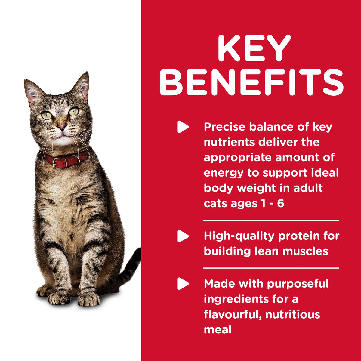 Science Diet Cat Adult Healthy Cuisine Tuna 79g