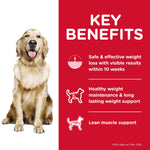 Pack of 12 Science Diet Dog Perfect Weight Can 363g