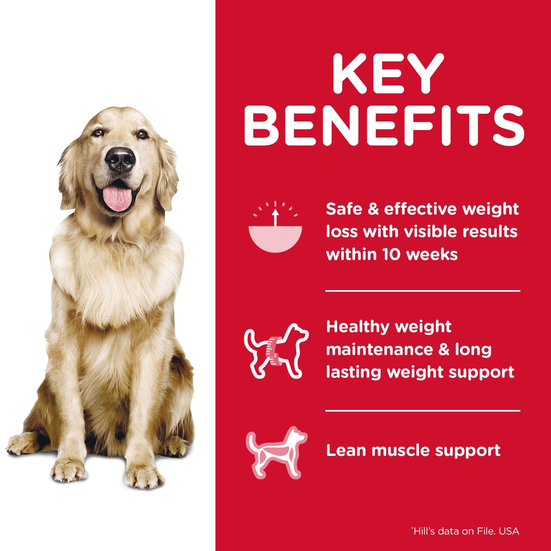Pack of 12 Science Diet Dog Perfect Weight Can 363g
