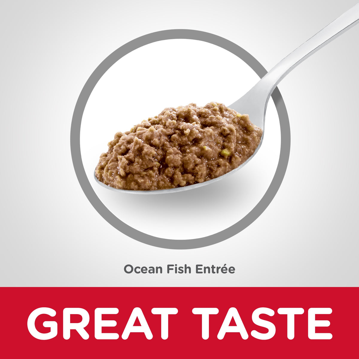 Pack of 24 Science Diet Cat Adult Oceanfish 156g