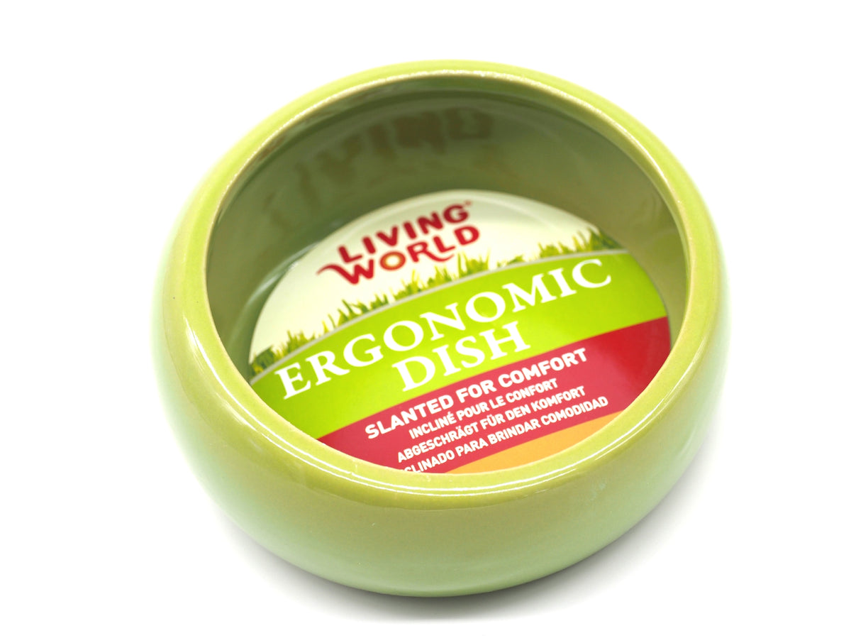 Living World Large Green Ergonomic Ceramic Dish 