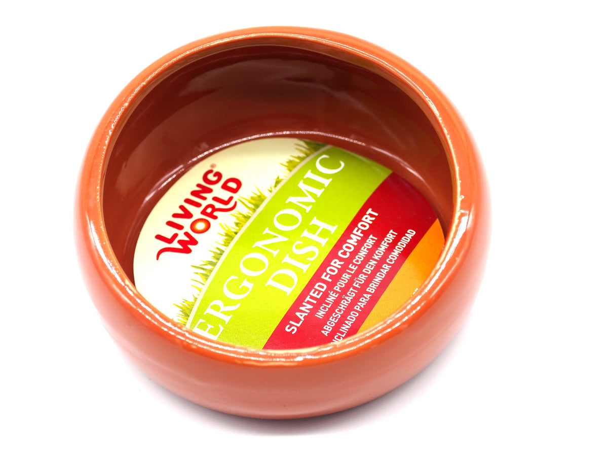 Living World Large Terracotta Ergonomic Ceramic Dish 