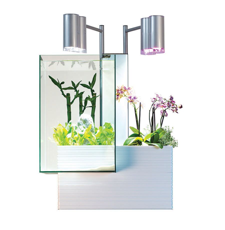 BRIO 35 AQUAPONIC SYSTEM 35L (WHITE)