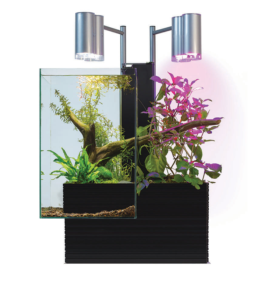 BRIO 35 AQUAPONIC SYSTEM 35L (BLACK)