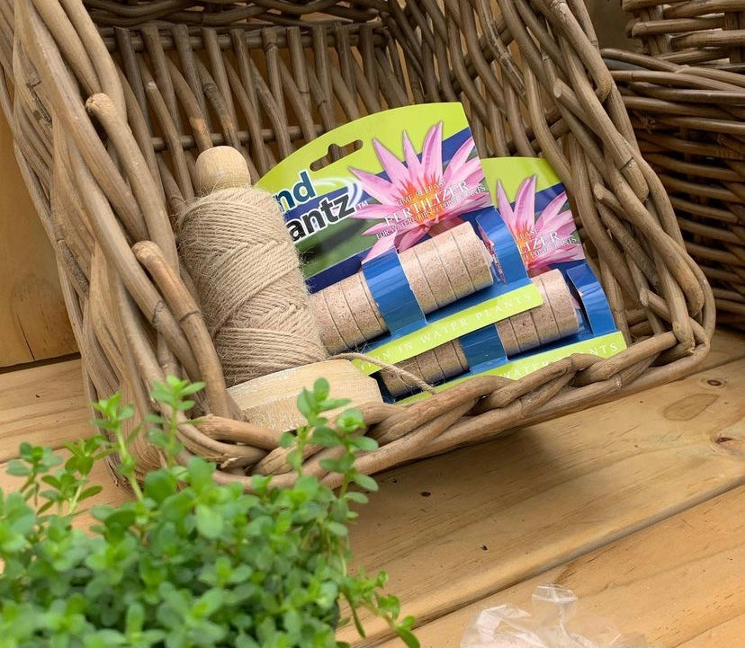 Buy Aquatic Plants Online Australia Water Plants Pond Plants NSW