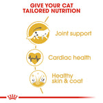 Royal Canin Cat Maine Coon 2kg