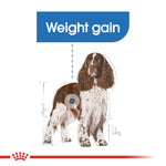 Royal Canin Dog Light Weight Care Medium 3kg