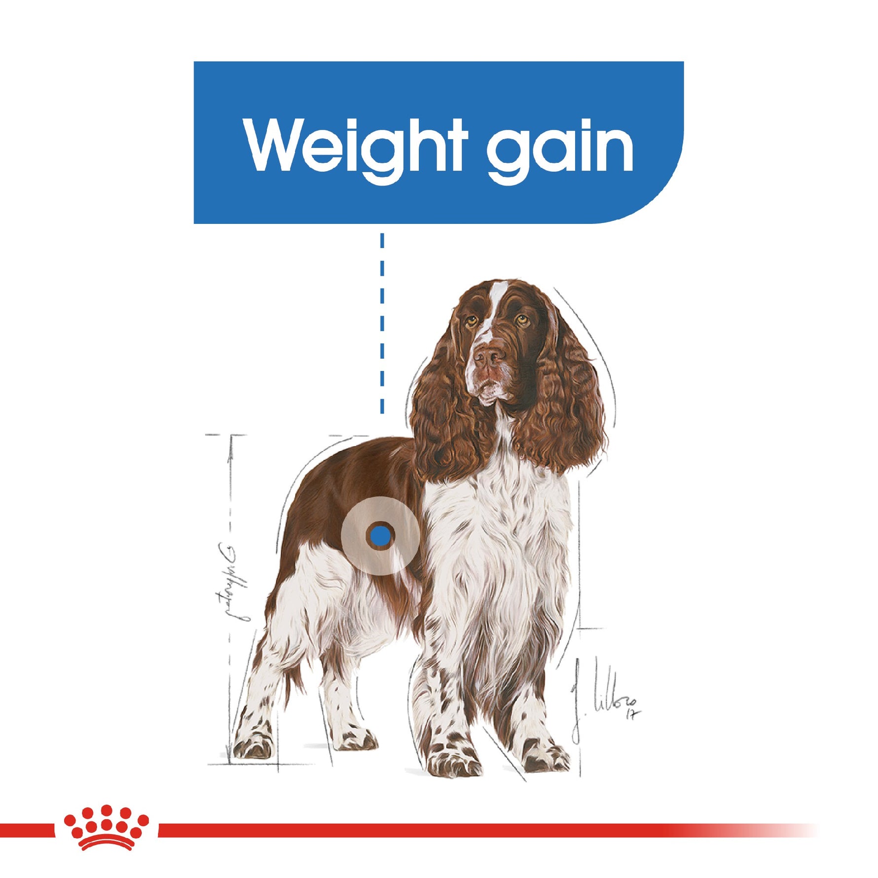 Royal Canin Dog Light Weight Care Medium 3kg