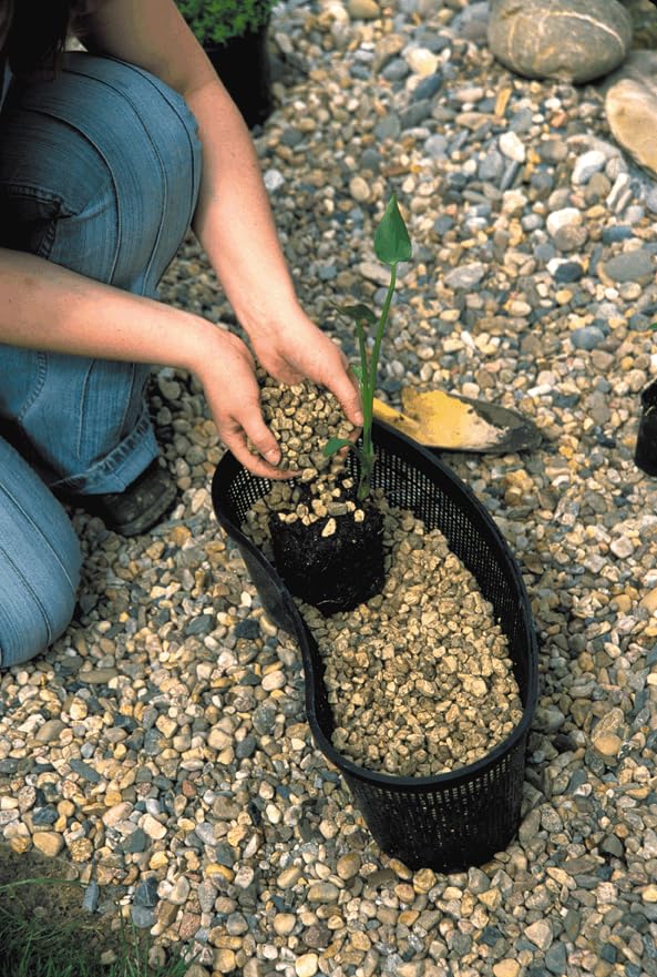 OASE  Kidney Plant Basket 