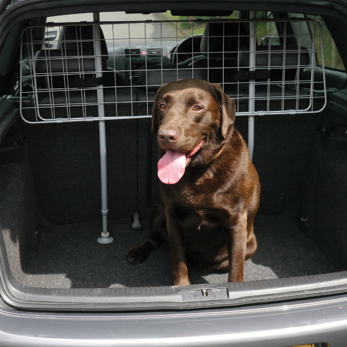 Dog Guard