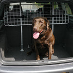 Dog Guard