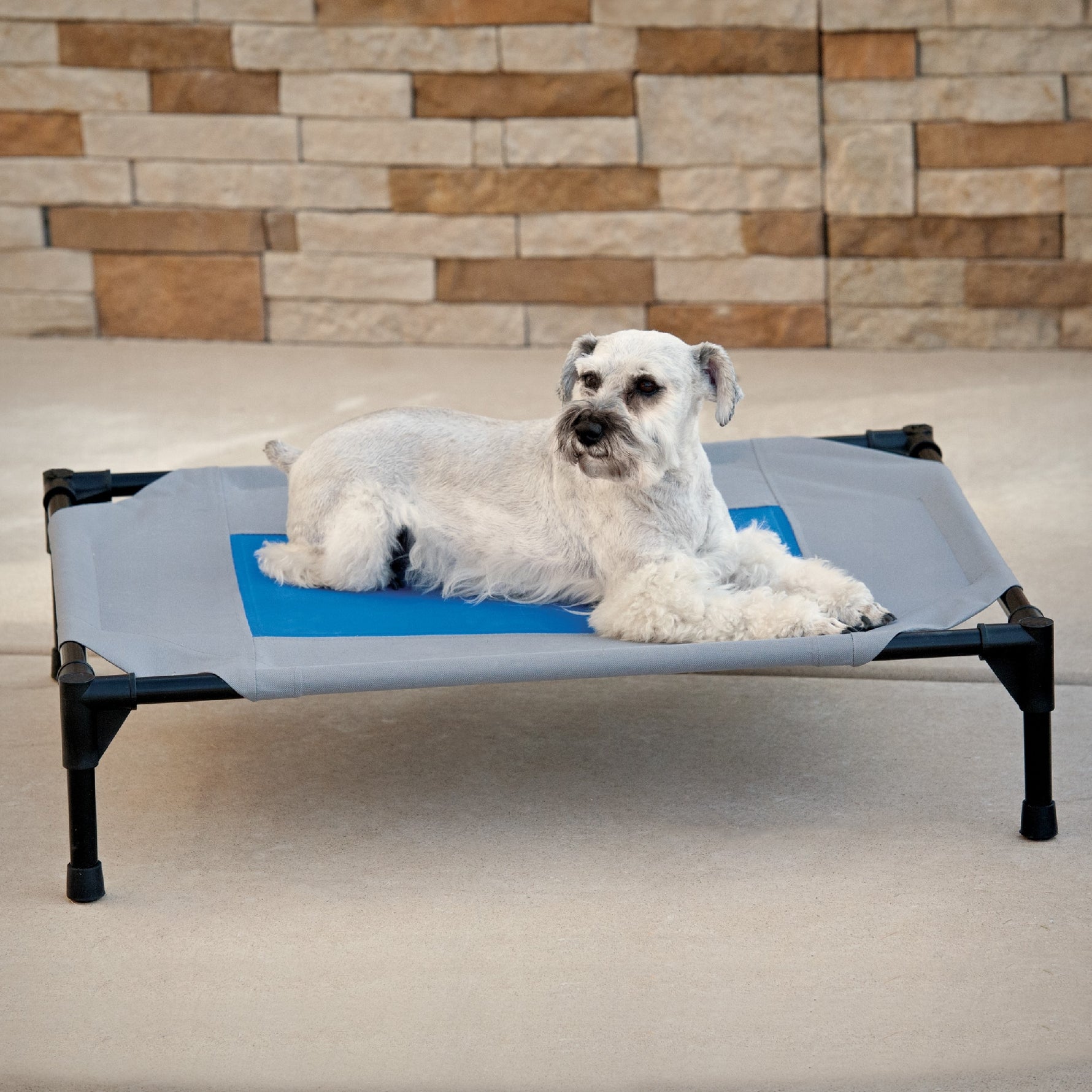 Elevated Coolin' Pet Cot Bed - Gray/Blue [Sz:82cm x 62cm]