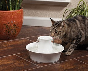 Drinkwell Ceramic Avalon Fountain
