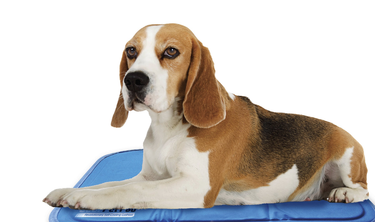 Green Shop Cooling Mat [Sz:Medium]